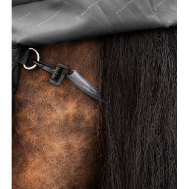 Coperta da equitazione esterna High Neck 100g Waldhausen Coperta da equitazione esterna High Neck 100g Waldhausen