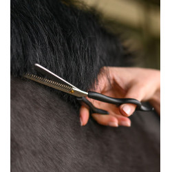 Forbici dentellate Waldhausen Nero