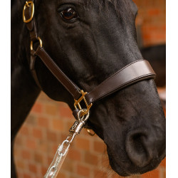 Catena fissaggio cavallo 55 cm Waldhausen – equitazione