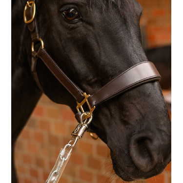 Catena fissaggio cavallo 55 cm Waldhausen – equitazione