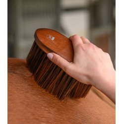 Spazzola polvere equitazione Waldhausen HardWood