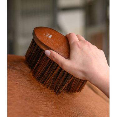 Spazzola polvere equitazione Waldhausen HardWood