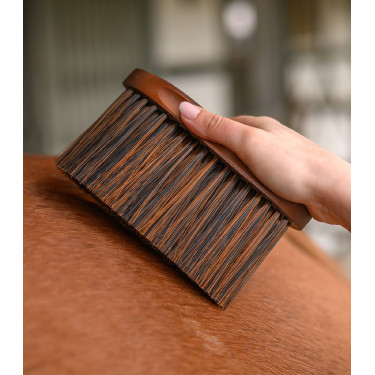 Spazzola polvere equitazione Waldhausen HardWood