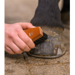 Spazzola zoccoli cavallo Waldhausen HardWood
