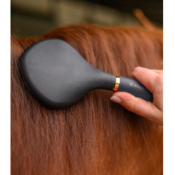 Spazzola equitazione Waldhausen manico in gel
