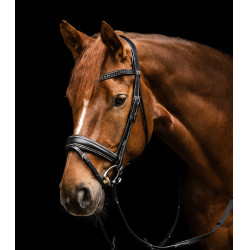 Briglia Waldhausen S-Line Glamour Nero
