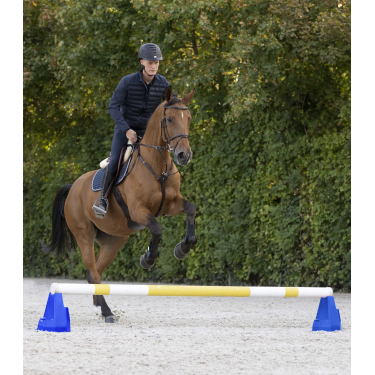 Blocco ostacolo Cavaletti Waldhausen Blu Blocco ostacolo Cavaletti Waldhausen Blu