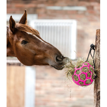 Palla per fieno Waldhausen Rosa