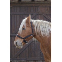 Capestro Norton Pro per cavallo da tiro Capestro Norton Pro per cavallo da tiro
