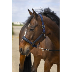 Capestro da equitazione con strass Equithème