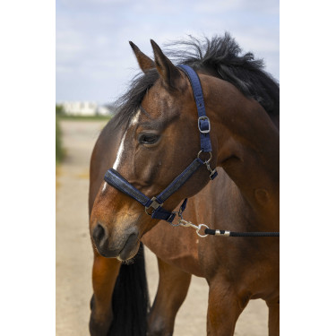 Capestro da equitazione con strass Equithème