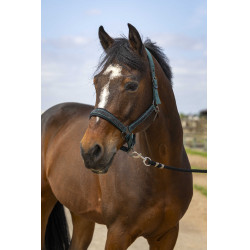 Capestro da equitazione con strass Equithème