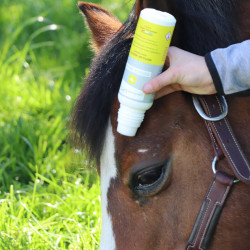 Repellente insetti per cavalli con spazzola LPC Repellente insetti per cavalli con spazzola LPC