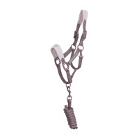 Cavezza tecnica con doppia regolazione e fibbie rivestite in gomma Equestro Antler / viola feltro