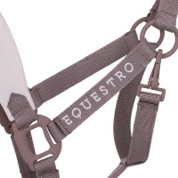Cavezza tecnica con doppia regolazione e fibbie rivestite in gomma Equestro Antler / viola feltro