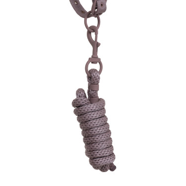 Cavezza tecnica con doppia regolazione e fibbie rivestite in gomma Equestro Antler / viola feltro