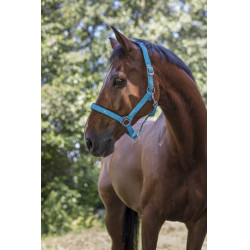 Capezza fluo regolabile per cavallo - Equitazione