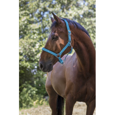Capezza fluo regolabile per cavallo - Equitazione
