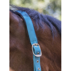 Capezza fluo regolabile per cavallo - Equitazione