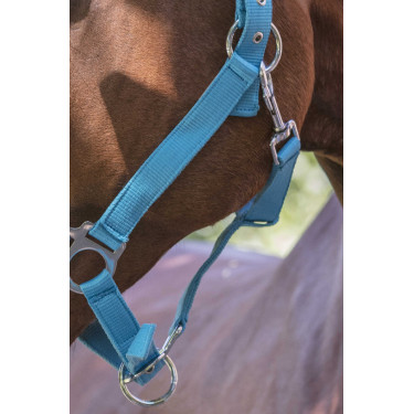 Capezza fluo regolabile per cavallo - Equitazione