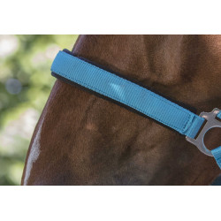 Capezza fluo regolabile per cavallo - Equitazione