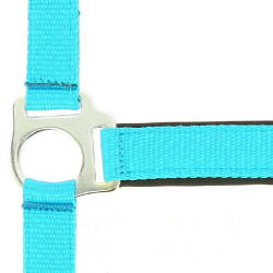 Capezza fluo regolabile per cavallo - Equitazione