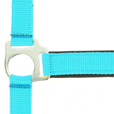 Capezza fluo regolabile per cavallo - Equitazione