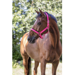 Capezza fluo regolabile per cavallo - Equitazione