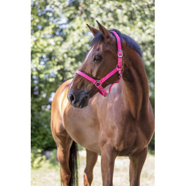 Capezza fluo regolabile per cavallo - Equitazione