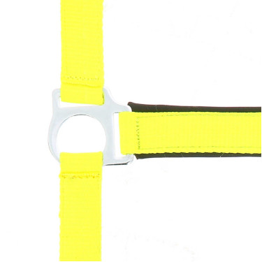 Capezza fluo regolabile per cavallo - Equitazione