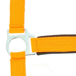Capezza fluo regolabile per cavallo - Equitazione
