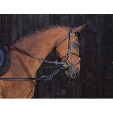 Redini ausiliarie in gomma Riding World Nero