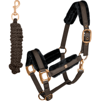 Set capezza Phoenix Waldhausen Espresso Marrone