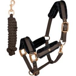 Set capezza Phoenix Waldhausen Espresso Marrone