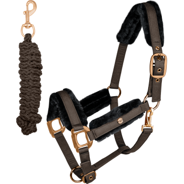 Set capezza Phoenix Waldhausen Espresso Marrone
