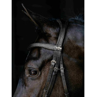 Briglia con capezzina a goccia Arika LeMieux Nero / argento