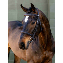 Briglia con capezzina Classique LeMieux Briglia con capezzina Classique LeMieux