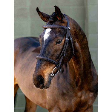 Briglia con capezzina Classique LeMieux Briglia con capezzina Classique LeMieux