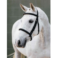 Briglia con capezzina Classique LeMieux Nero Briglia con capezzina Classique LeMieux Nero