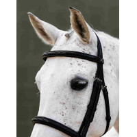 Briglia con capezzina Classique LeMieux Marrone
