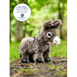 Mini Pony LeMieux Donkey Daphne Donkey daphne Bianco
