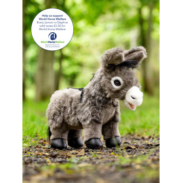 Mini Pony LeMieux Donkey Daphne Donkey daphne Bianco