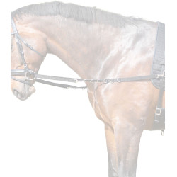Redini fisse equitazione in nylon Star – 1,22 m