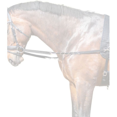Redini fisse equitazione in nylon Star – 1,22 m