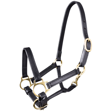 Capezzina in cuoio Star puledro Nero