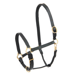 Capezzina equitazione in cuoio robusta Star Robust