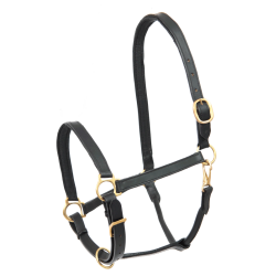 Capezzina equitazione in cuoio robusta Star Robust