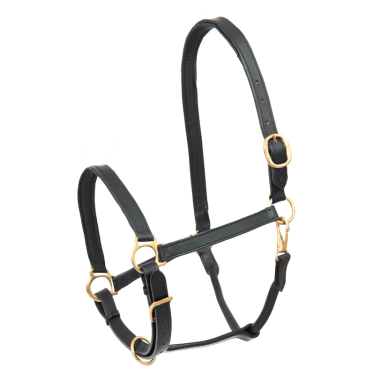 Capezzina equitazione in cuoio robusta Star Robust