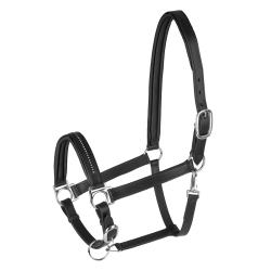Capezza in cuoio per equitazione Star Diamond