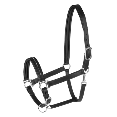 Capezza in cuoio per equitazione Star Diamond